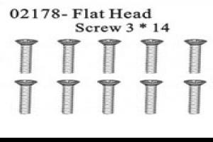 flat head screw 3*14 