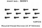 Round Head Screw 2.5*22mm 