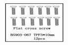 Flat Cross Screw(TPF3*10)   12 PCS (BS903-067)