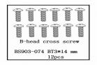 B-Head Cross Screw(BT3*14)   12 PCS (BS903-074)