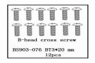 B-Head Cross Screw(BT3*20)   12 PCS (BS903-076)